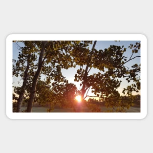 Autumn Sunrise Sticker